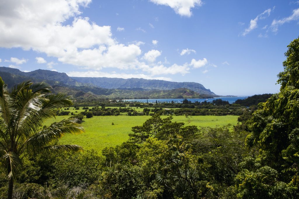 scenic landscape, Kauai, Hawaii