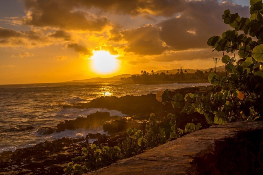 Shores 405 Oceanfront Condo