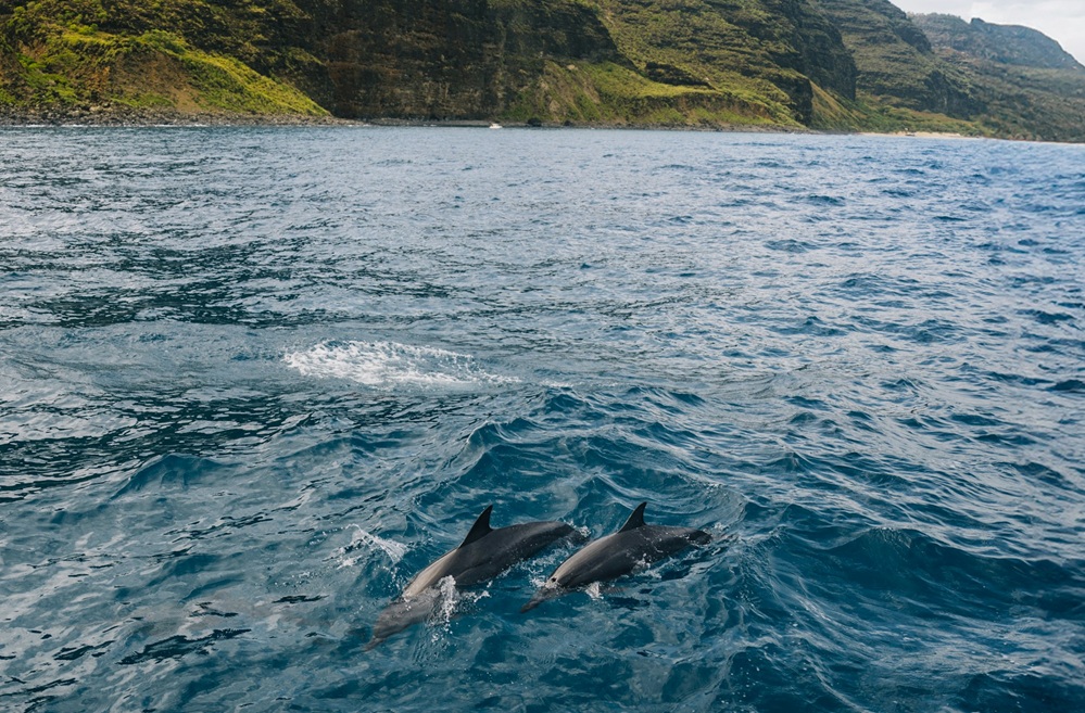 Best Places to Snorkel in Kauai