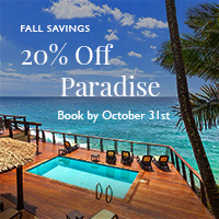 Save 20% This Fall